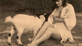 Classic American Taboo: Pussy And Dog Style